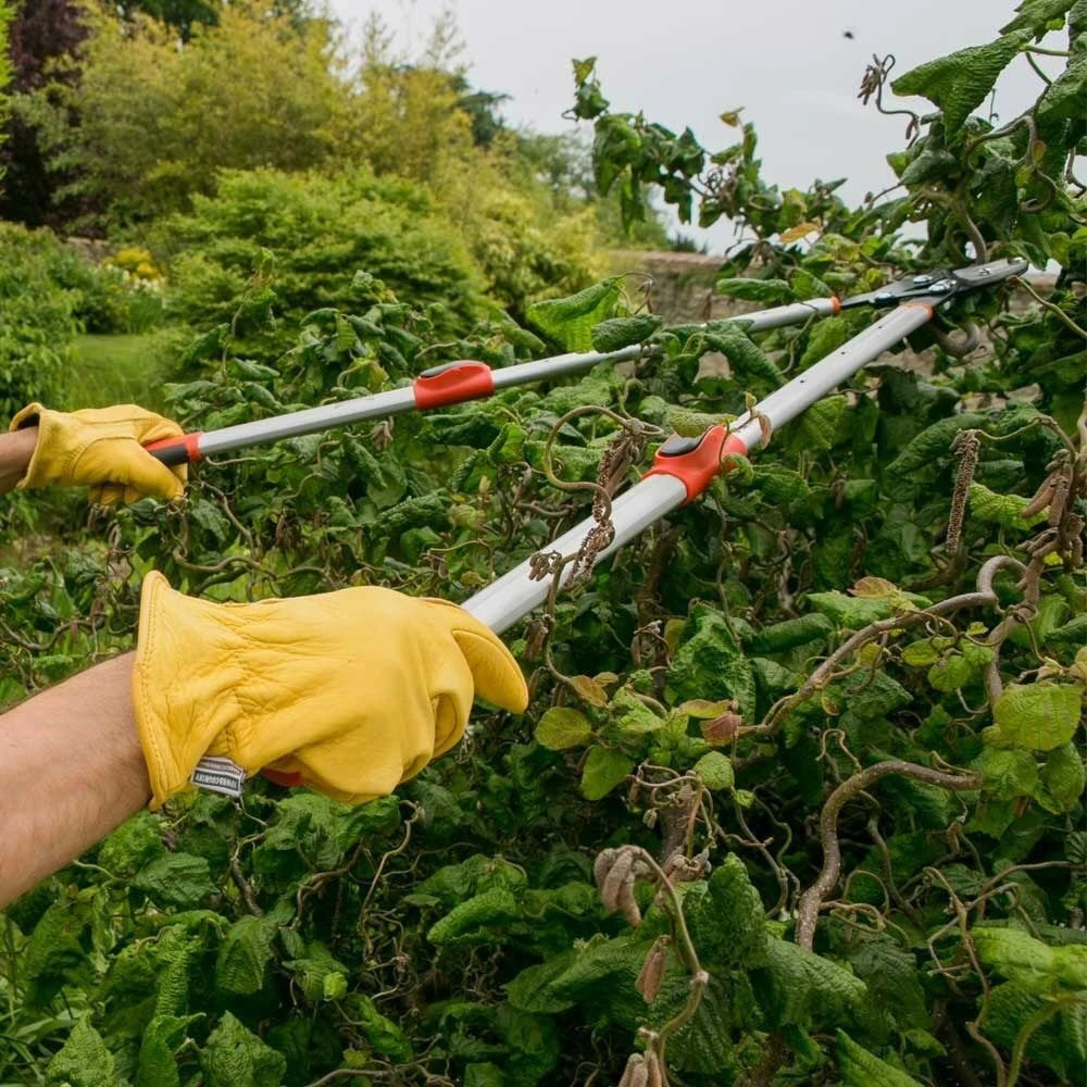 Wilkinson Sword Telescopic Anvil Loppers 2 Wilkinson Sword Telescopic Anvil Loppers - Image 2