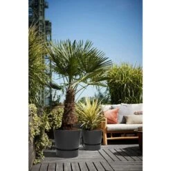Elho 25cm Living Black Greenville Round Planter 9 Elho 25cm Living Black Greenville Round Planter -Happy Garden 8711904332334 5