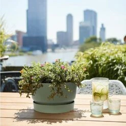 Elho 33cm Leaf Green Greenville Bowl Planter -Happy Garden 8711904332464 4