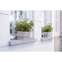 Elho 50cm Living Concrete Greenvillle Long Trough Planter -Happy Garden 8711904358440 4