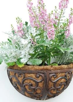 Cast Iron Wall Manger -Happy Garden pr2000004969 card3 lg