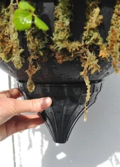 Pair Of Self-watering Hanging Baskets 6 Pair Of Self-watering Hanging Baskets -Happy Garden pr2000006136 card3 lg