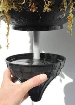 Pair Of Self-watering Hanging Baskets 7 Pair Of Self-watering Hanging Baskets -Happy Garden pr2000006136 card4 lg