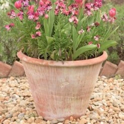 Lucca Terracotta Pot -Happy Garden pr2000012805 card3 lg