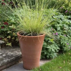 Empoli Terracotta Lily Pot -Happy Garden pr2000012808 card7 lg