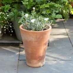 Empoli Terracotta Lily Pot -Happy Garden pr2000012808 card8 lg