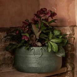 Verdigris Plant Bowl/drink Bucket -Happy Garden pr2000016191 card4 lg