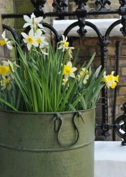 Verdigris Tall Metal Planter -Happy Garden pr2000016192 card3 lg