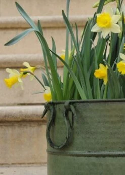 Verdigris Tall Metal Planter -Happy Garden pr2000016192 card4 lg