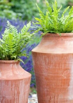 Terracotta Oil Pot -Happy Garden pr2000016940 card4 lg