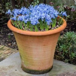 Terracotta Arc Pot -Happy Garden pr2000016942 card6 lg