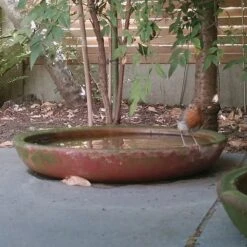 Terracotta Saucer -Happy Garden pr2000022770 card3 lg