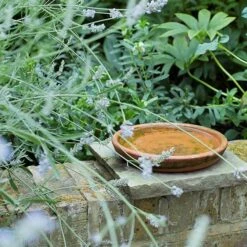 Terracotta Saucer -Happy Garden pr2000022770 card5 lg