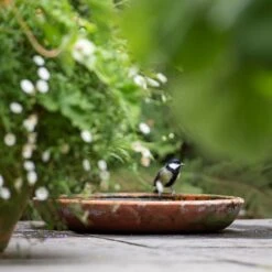 Terracotta Saucer -Happy Garden pr2000022770 card6 lg