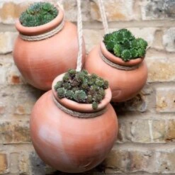 Terracotta Babylon Hanging Pot -Happy Garden pr2000023695 card4 lg