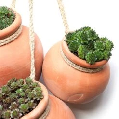 Terracotta Babylon Hanging Pot -Happy Garden pr2000023695 card5 lg