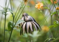 Echinacea Plant Stake - Antique Bronze -Happy Garden pr2000026357 card3 lg