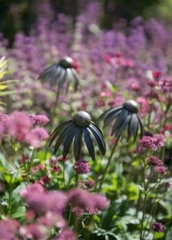 Echinacea Plant Stake - Antique Bronze -Happy Garden pr2000026357 card8 lg