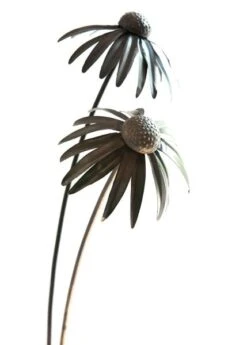 Echinacea Plant Stake - Antique Bronze -Happy Garden pr2000026357 card9 lg