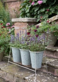 Three Galvanised Pots And Stand -Happy Garden pr2000027863 card3 lg