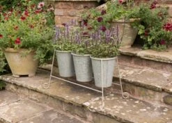 Three Galvanised Pots And Stand -Happy Garden pr2000027863 card4 lg