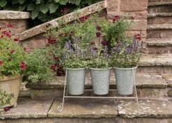 Three Galvanised Pots And Stand -Happy Garden pr2000027863 card5 lg