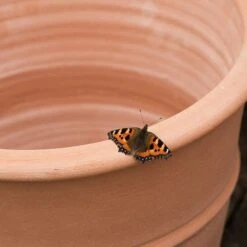 Monachou Terracotta Pot -Happy Garden pr2000028341 card3 lg