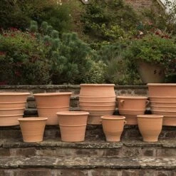 Monachou Fardipati Terracotta Pot -Happy Garden pr2000028348 card4 lg