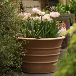Monachou Fardipati Terracotta Pot -Happy Garden pr2000028348 card6 lg