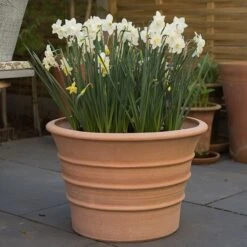 Monachou Fardipati Terracotta Pot -Happy Garden pr2000028348 card7 lg