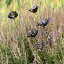 Poppy Flower Stake -Happy Garden pr2000028381 card3 lg