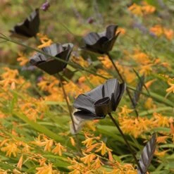 Poppy Flower Stake -Happy Garden pr2000028381 card7 lg