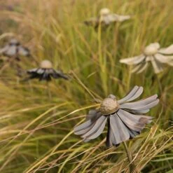 Helenium Flower Stake -Happy Garden pr2000028383 card10 lg