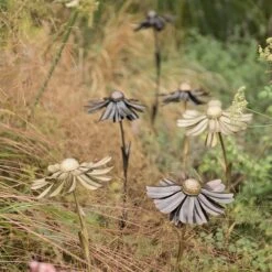 Helenium Flower Stake -Happy Garden pr2000028383 card4 lg