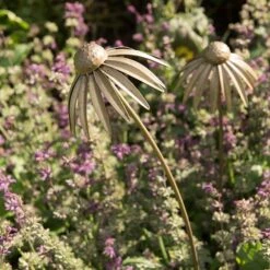 Echinacea Plant Stake - Antique Brass 12 Echinacea Plant Stake - Antique Brass -Happy Garden pr2000028406 card6 lg