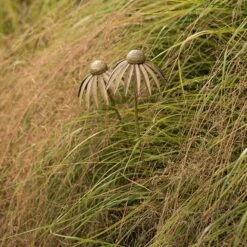 Echinacea Plant Stake - Antique Brass 13 Echinacea Plant Stake - Antique Brass -Happy Garden pr2000028406 card7 lg