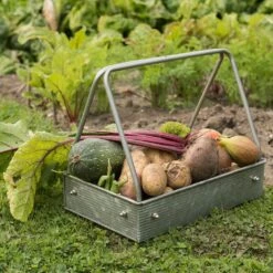 Planting Tray / Trug -Happy Garden pr2000028415 card3 lg