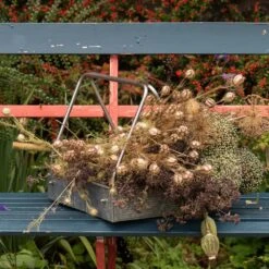 Planting Tray / Trug -Happy Garden pr2000028415 card4 lg