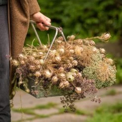 Planting Tray / Trug -Happy Garden pr2000028415 card7 lg
