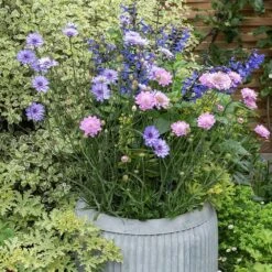 Zinc Dolly Tub Planter -Happy Garden pr2000028721 card4 lg