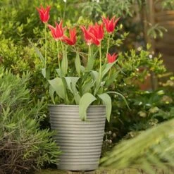 Ribbed Zinc Planter -Happy Garden pr2000028781 card10 lg