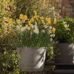 Ribbed Zinc Planter -Happy Garden pr2000028781 card3 lg