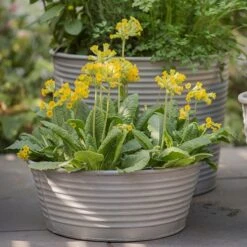 Ribbed Zinc Planter -Happy Garden pr2000028781 card6 lg