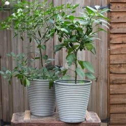 Ribbed Zinc Planter -Happy Garden pr2000028781 card9 lg