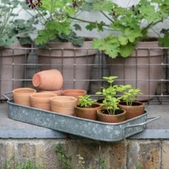 Terracotta Grow Pots - Set Of 10 With Tray -Happy Garden pr2000029288 card7 lg