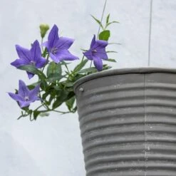 Hanging Aged Ribbed Planter 10 Hanging Aged Ribbed Planter -Happy Garden pr2000031414 card3 lg