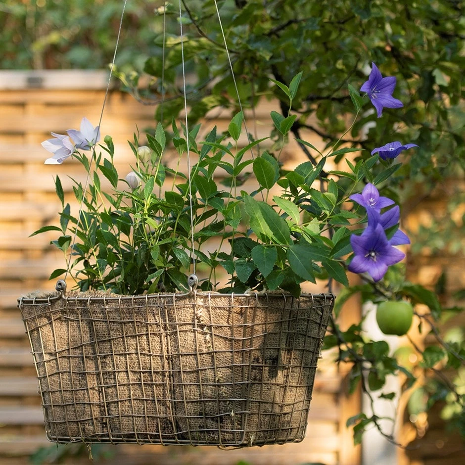 Rectangular Net Hanging Basket 1 Rectangular Net Hanging Basket
