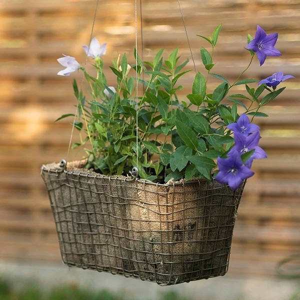 Rectangular Net Hanging Basket 3 Rectangular Net Hanging Basket - Image 3
