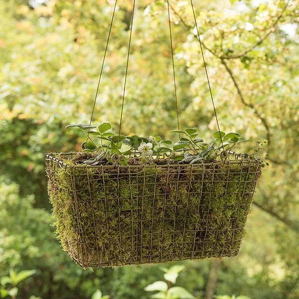 Rectangular Net Hanging Basket 4 Rectangular Net Hanging Basket - Image 4