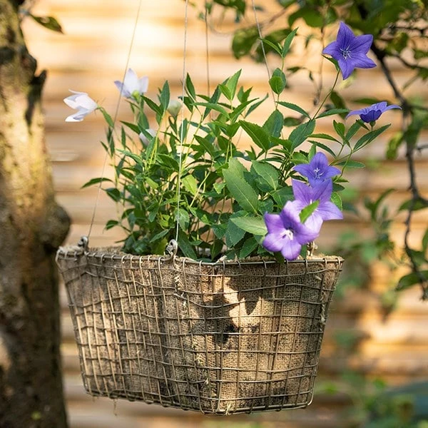 Rectangular Net Hanging Basket 7 Rectangular Net Hanging Basket - Image 7